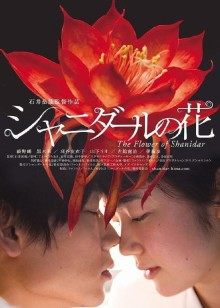 虎森森 &#8211; 危险关系 [60P-323MB]